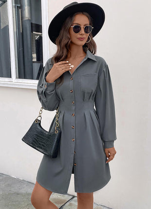Pocketed Buttoned Collared Neck Dress