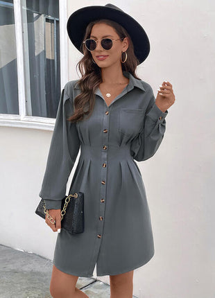 Pocketed Buttoned Collared Neck Dress